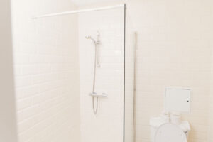 shoer and toilet in bathroom